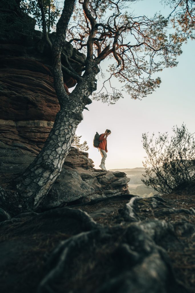 Commercial Fotografie Got Bag Rucksäcke